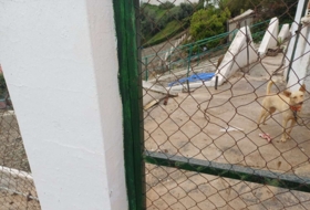 Foto 7