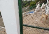 Suelo urbano en venta en Almáchar ref: TR406573 foto