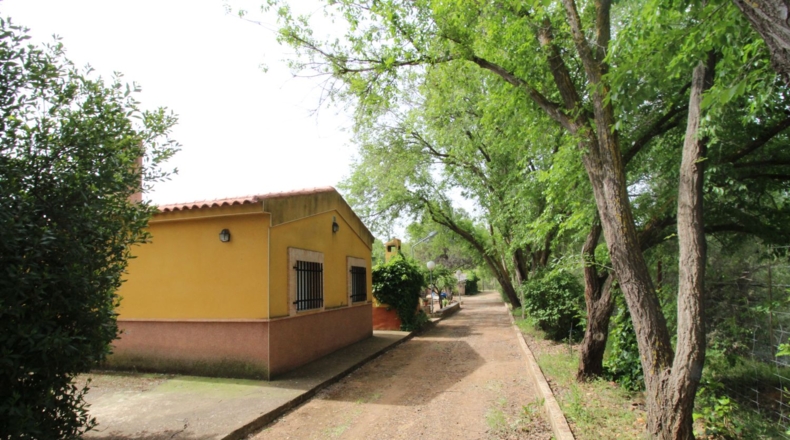 Ciudad Real - Malagón - 6961m2