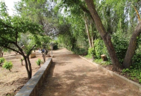 Foto 9