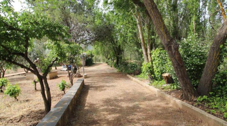 Ciudad Real - Malagón - 6961m2