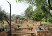 Detached villa with land for sale in Malagón ref: TR406578 photo