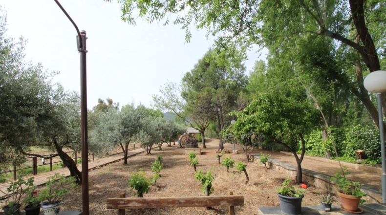 Ciudad Real - Malagón - 6961m2