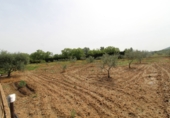 Detached villa with land for sale in Malagón ref: TR406578 photo