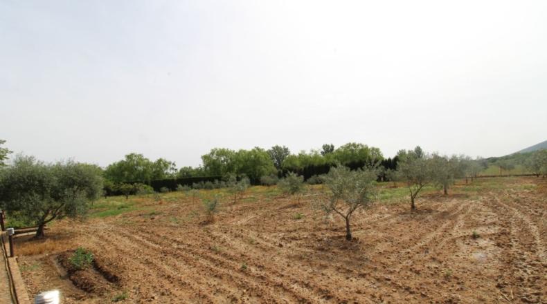 Ciudad Real - Malagón - 6961m2