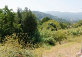 Xalet independent amb terreny en venda a Gondomar ref.: TR328717 foto