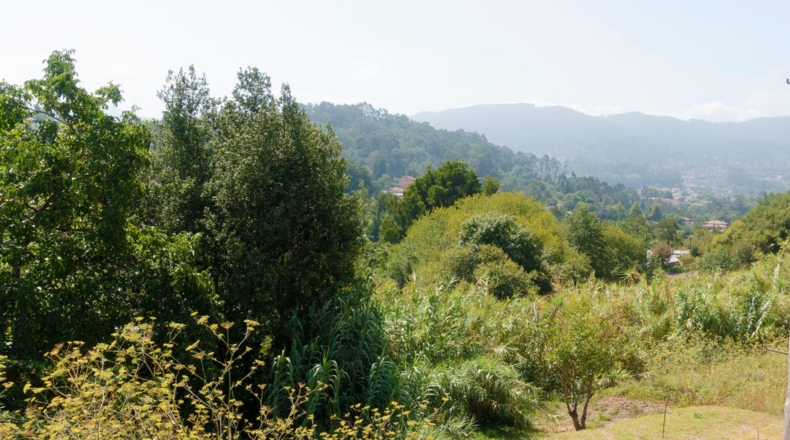 Pontevedra - Gondomar - 600m2