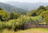 Xalet independent amb terreny en venda a Gondomar ref.: TR328717 foto