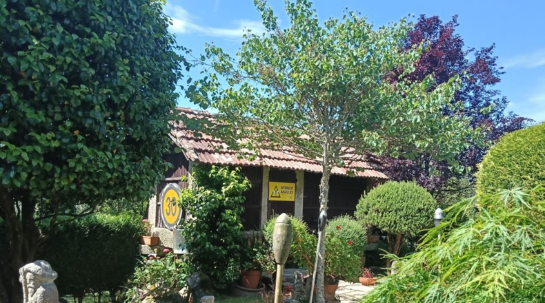 Pontevedra - San Amaro - 1889m2