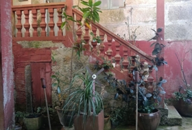 Foto 17