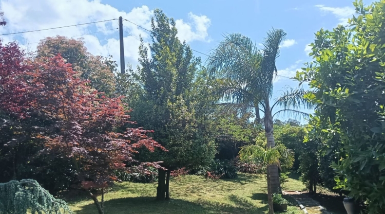 Pontevedra - San Amaro - 1889m2