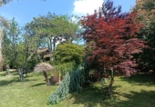 Casa de camp amb terreny en venda a Barro ref.: TR103164 foto
