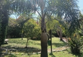 Casa de camp amb terreny en venda a Barro ref.: TR103164 foto