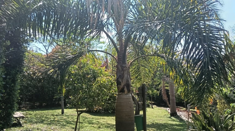 Pontevedra - San Amaro - 1889m2