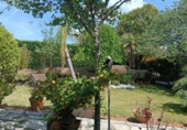 Casa de camp amb terreny en venda a Barro ref.: TR103164 foto