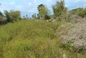 Puçol 1255&nbsp;m² 