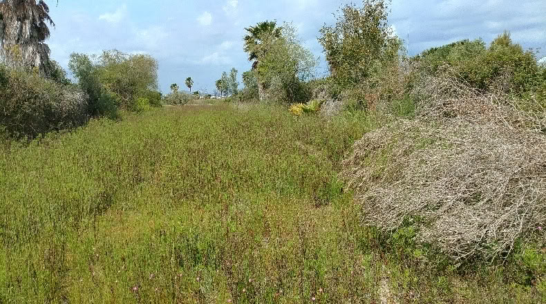 Valencia - Puçol - 1255m2