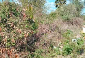 Puçol 1255&nbsp;m² 