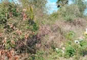 Terreno no urbanizable en venta en la Cami Canal, Puçol, ref: TR406616 foto