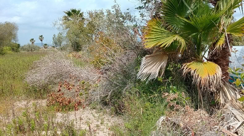 Valencia - Puçol - 1255m2