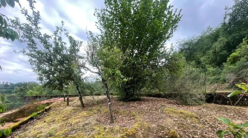 Orense - Leiro - 2500m2
