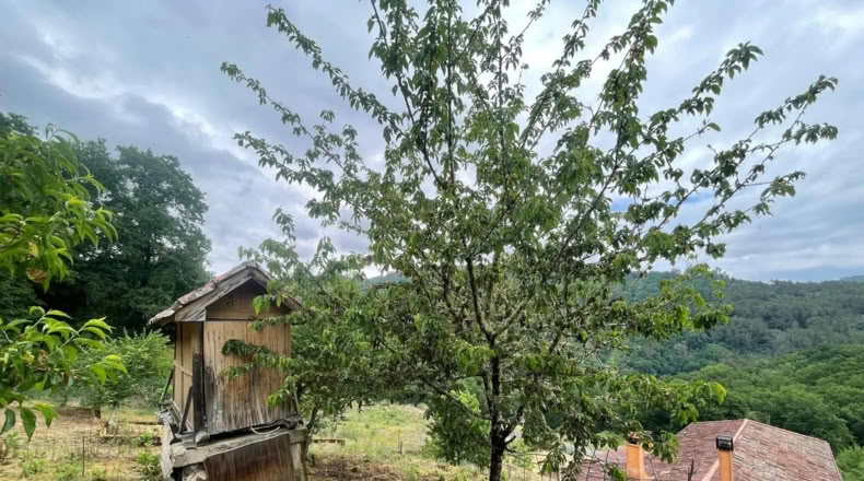 Orense - Leiro - 2500m2