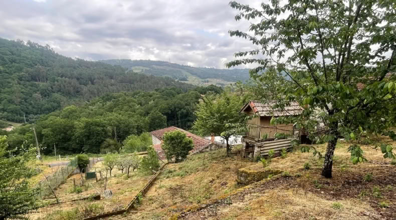 Orense - Leiro - 2500m2