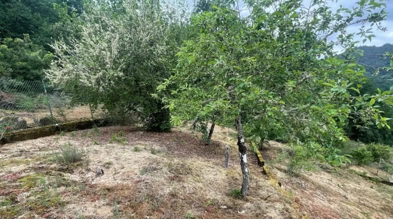 Orense - Leiro - 2500m2