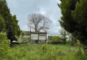 Casa con terreno en venta en Rodeiro ref: TR406873 foto