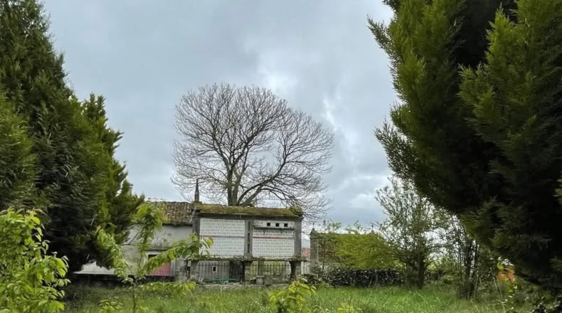 Pontevedra - Rodeiro - 4000m2