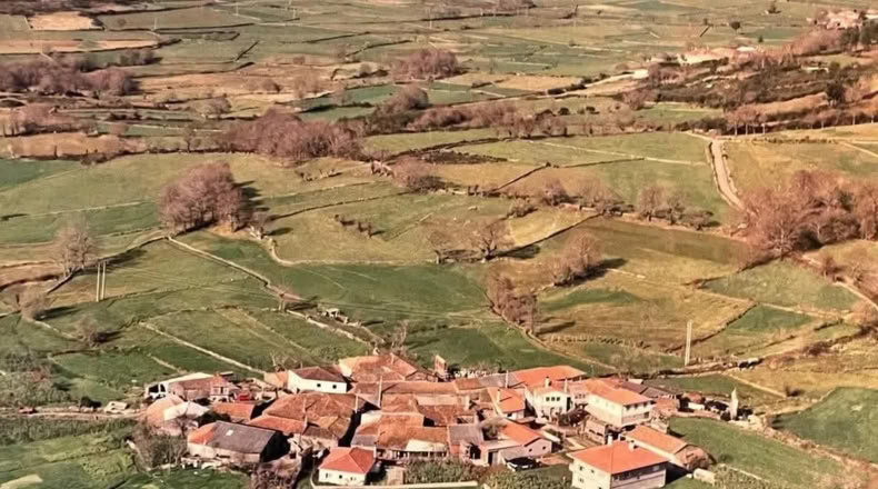 Pontevedra - Rodeiro - 4000m2