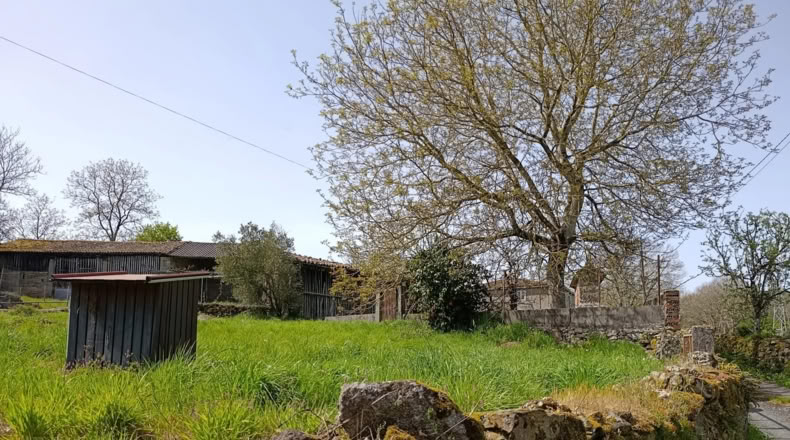 Lugo - Antas de Ulla - 1000m2