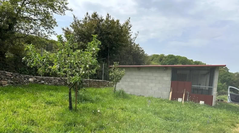 Pontevedra - A Carballeira - 6500m2