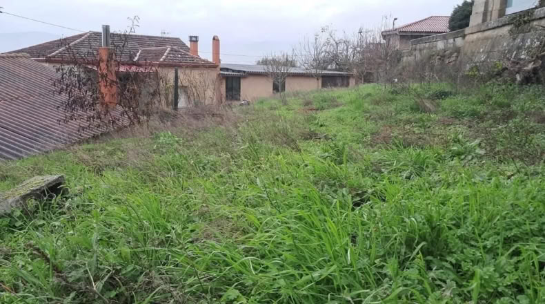 Orense - Ribadavia - 400m2