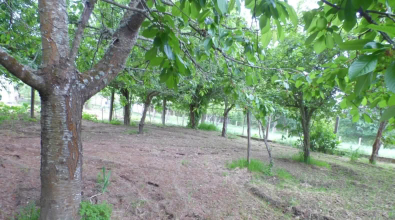 Orense - Cartelle - 100m2