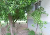 Casa de poble en venda a Cartelle ref.: TR406868 foto