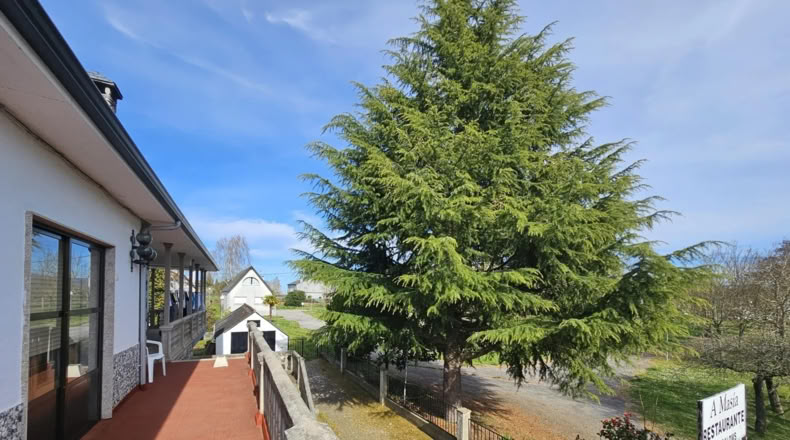 Orense - A Pobra de Trives - 10000m2