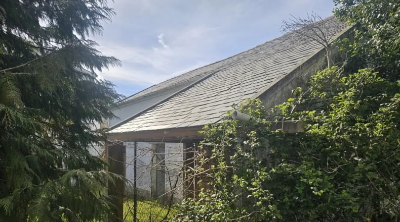 Orense - A Pobra de Trives - 10000m2