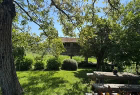 Foto 19