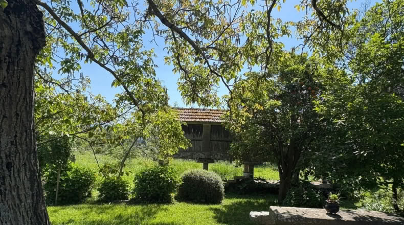 Pontevedra - O Pazo de Meis - 6000m2