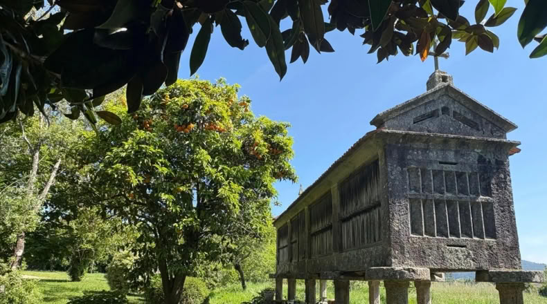 Pontevedra - O Pazo de Meis - 6000m2