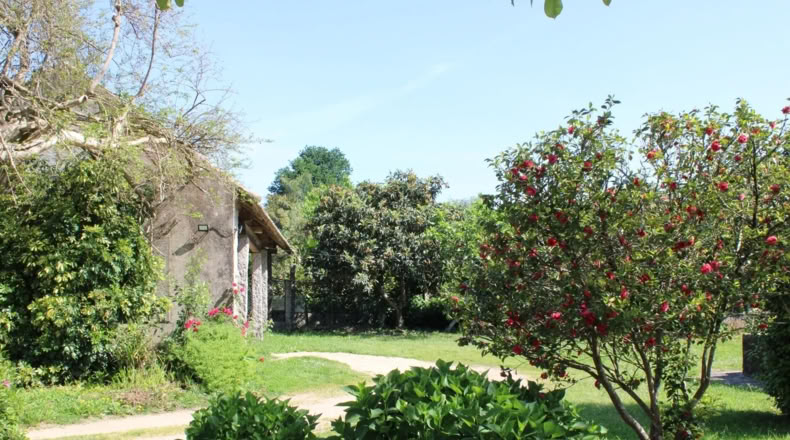 Pontevedra - O Pazo de Meis - 6000m2