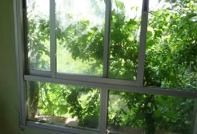 Xinzo de Limia 3000&nbsp;m² 