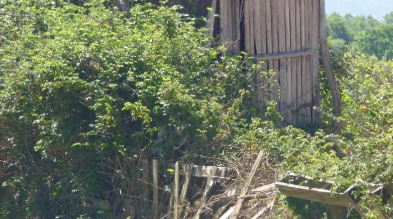 Orense - Xunqueira de Ambía - 100m2