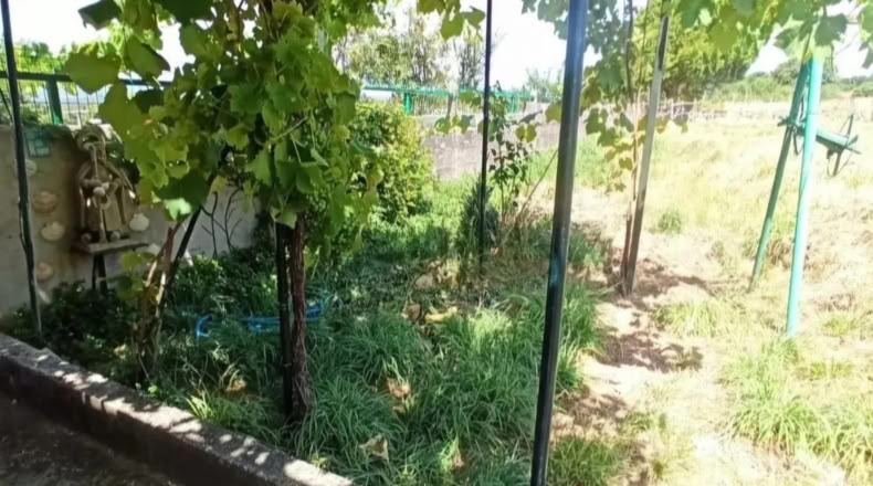 Pontevedra - Agolada - 229m2