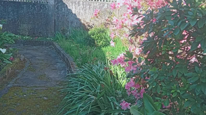 Pontevedra - Crecente - 300m2