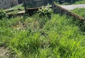 Piñor 900&nbsp;m² 