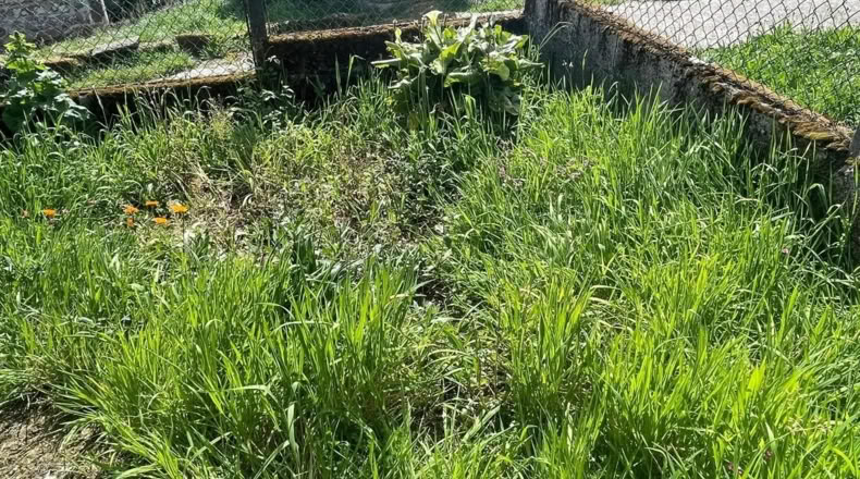 Orense - Piñor - 900m2