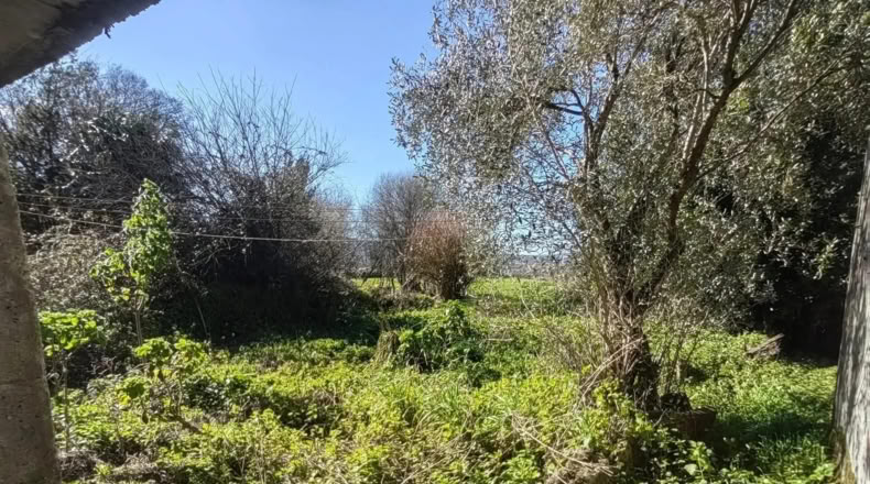 Pontevedra - Rodeiro - 400m2