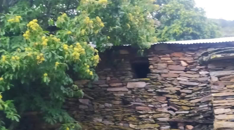 Orense - Vilariño de Conso - 200m2